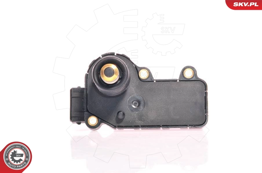 Idle Control Valve, air supply